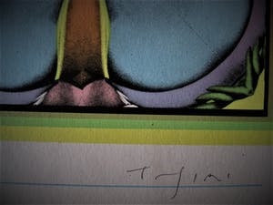 Shinkichi Tajiri - Prachtige potloodgesigneerde PoP-ArT offset litho -My secret garden I - 1975 kopen? Bied vanaf 10!