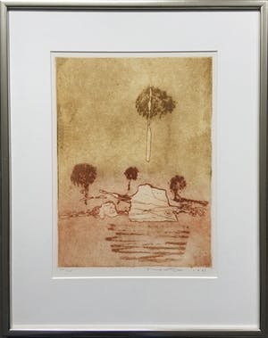 Jan Montyn - kleurenets II - 1996 - oplage 25 - ingelijst kopen? Bied vanaf 135!