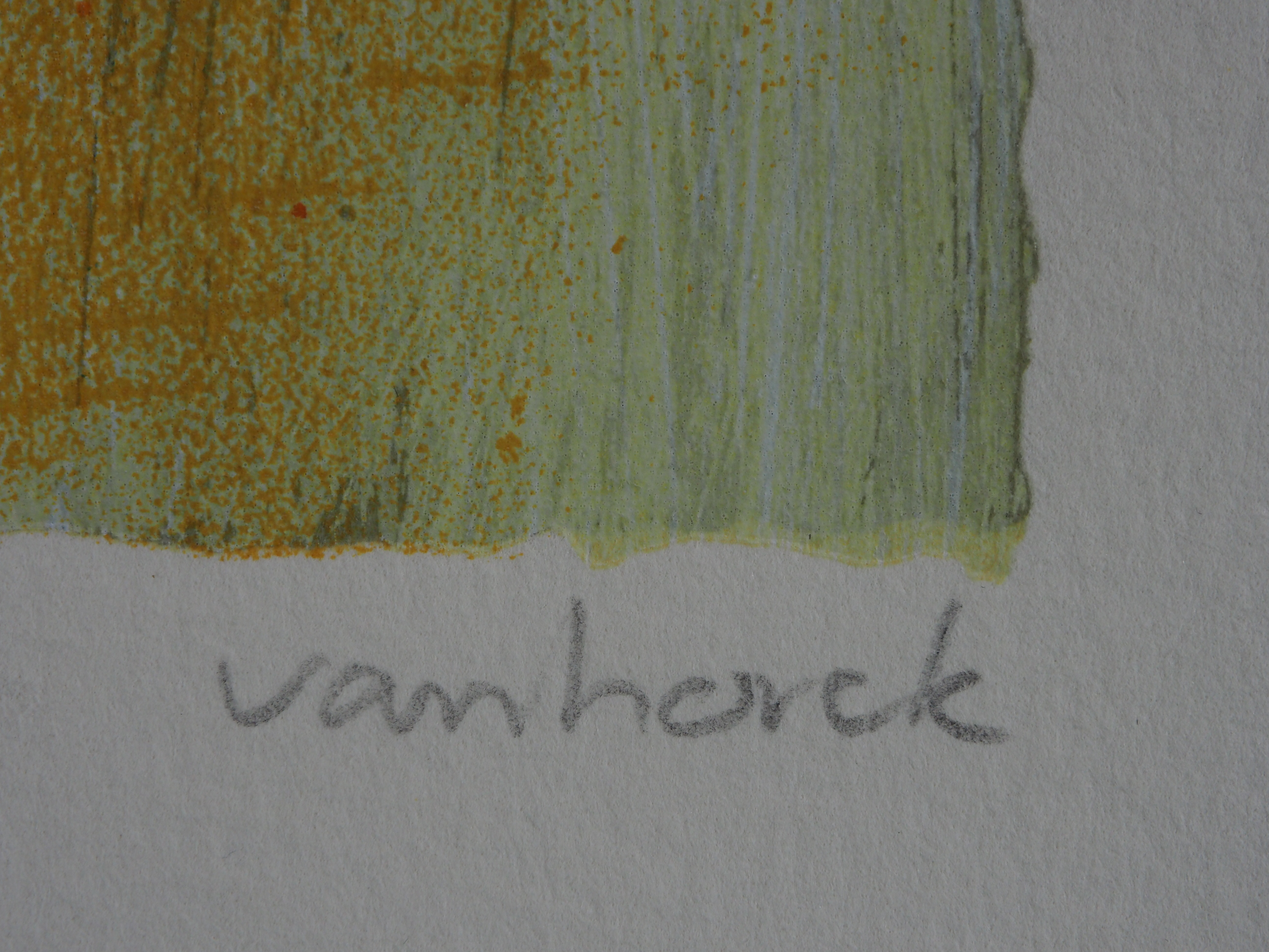 Hans Vanhorck - zonder titel kopen? Bied vanaf 25!