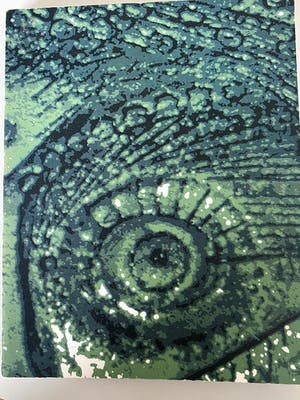 Johan van Loon - steengoed schotel kopen? Bied vanaf 20!