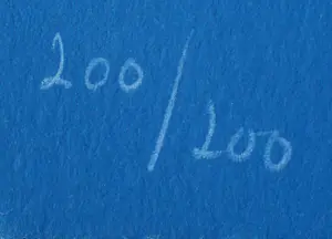 Corneille - Litho: 'La femme rose a la plage' - 1982 kopen? Bied vanaf 225!