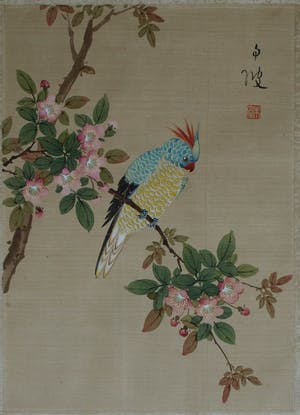 Niet of onleesbaar gesigneerd - Ingelijste aquarel op zijde, Japan? China? , Papagaai kopen? Bied vanaf 1!