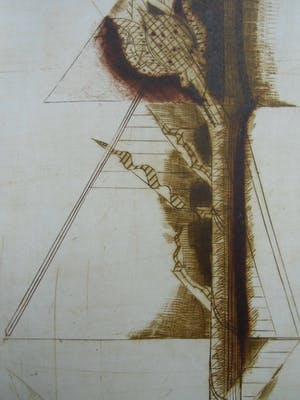 Brigitte Coudrain - BEELD VAN EEN PLANTAARDIGE VORM kopen? Bied vanaf 50!