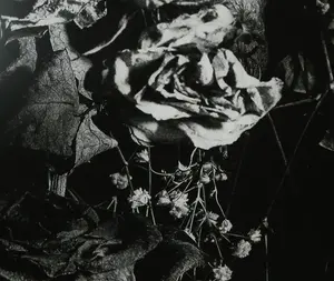 Andrei Petrescu - C-print op alubond, Anamorphosis - Ingelijst (Zeer groot) kopen? Bied vanaf 1!