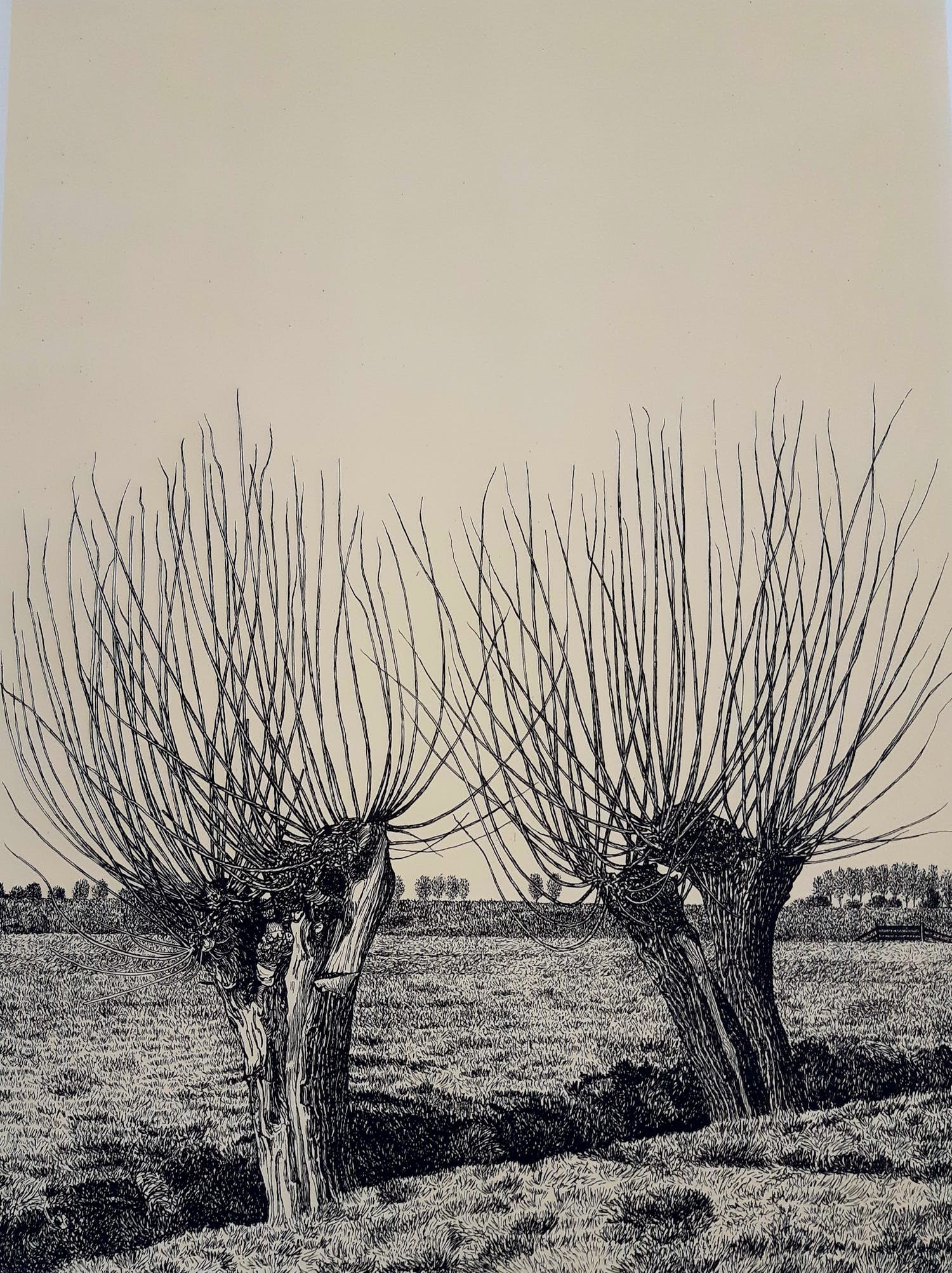 Sees Vlag - Polder verkocht voor € 70!
