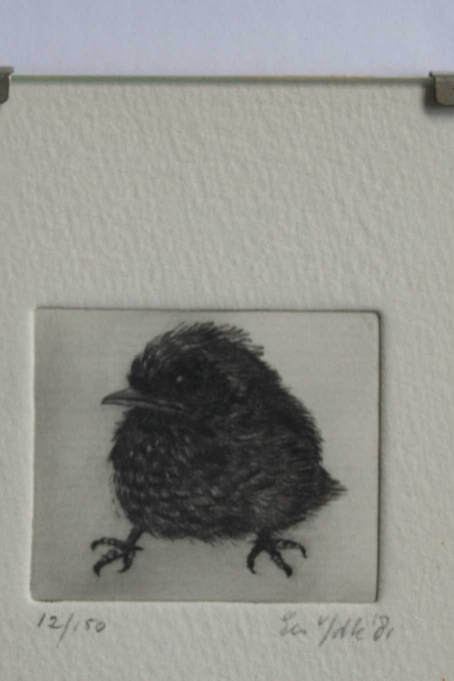 Niet of onleesbaar gesigneerd - vogeltje - 1981 - gesigneerd - 2 stuks kopen? Bied vanaf 1!