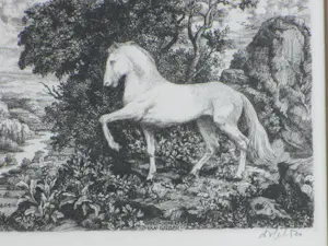Dirk van Gelder - Wit paard in Arcadisch landschap - Gravure kopen? Bied vanaf 75!