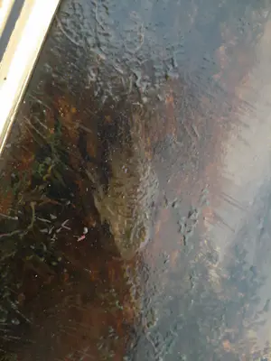 Joseph Antonio Hekking - Jagers in landschap. kopen? Bied vanaf 295!