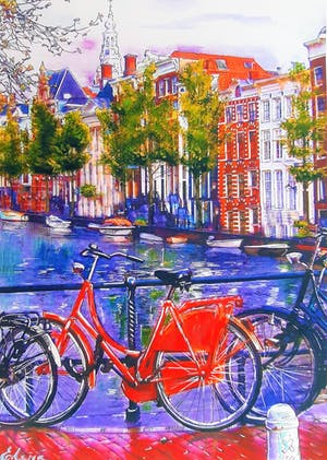 Elena Polyakova - Red bike in Amsterdam kopen? Bied vanaf 55!