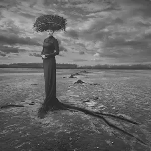 Dariusz Klimczak - 'Leeg Nest' (2013) kaufen? Bieten Sie von 10!