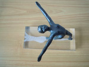 Corry Ammerlaan - Beeld naakte vrouw op plexiglas voet met schaduw gegraveerd kopen? Bied vanaf 45!