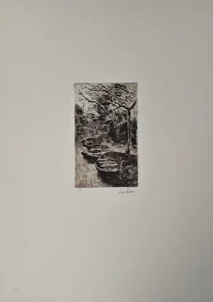 Willem de Zwart - Botenverhuur Roeilust (Loosduinse vaart) kopen? Bied vanaf 40!