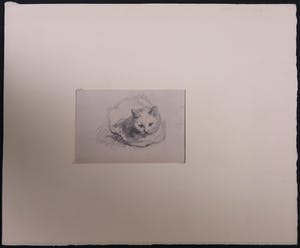 Niet of onleesbaar gesigneerd - Grafiet, Schets van een zittende kat kopen? Bied vanaf 1!