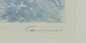 Katrien Caymax - Ets en aquatint, Luchtbellen zaaien - Ingelijst kopen? Bied vanaf 35!