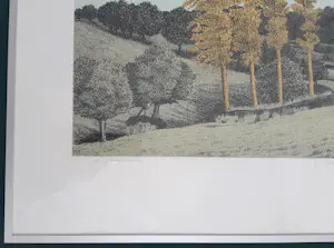 Sees Vlag - Geuldal kopen? Bied vanaf 75!