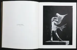 Reinhoud D'Haese - Lot van twee publicaties waaronder 1 gesigneerd kopen? Bied vanaf 1!