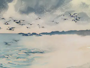 France Hilon - Duinenkust kopen? Bied vanaf 45!