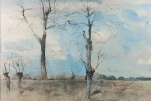 Jose Calsina - Pen/ Aquarel op papier, Knotwilgen - Ingelijst kopen? Bied vanaf 80!