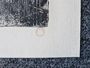 Jan Altink - Originele droge naald Ets en dubbel boek "jan Altink en het expressionisme" kopen? Bied vanaf 37!