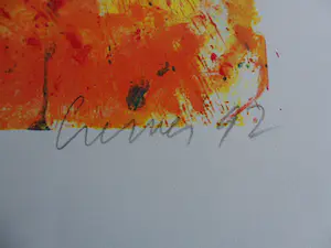 Jan Cremer - ‘Hartentulp’ - grote zeefdruk uit 1992 kopen? Bied vanaf 175!