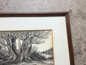 Niet of onleesbaar gesigneerd - Knotwilgen kopen? Bied vanaf 1!