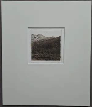 Buy Adolfo Ramon Torcal - gesigneerde ets? Bid from 49!