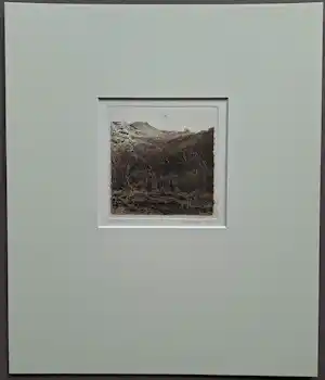 Adolfo Ramon Torcal - gesigneerde ets kaufen? Bieten Sie von 49!