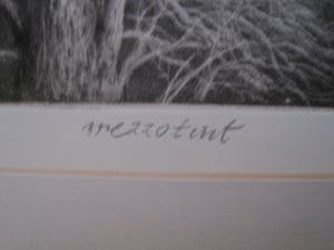 Freerk Los - Zeldzaam mooie Mezzotint "Herfstbos bij Nacht" gesigneerd kopen? Bied vanaf 10!