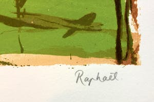 Raphael Hermans - Paard kopen? Bied vanaf 60!