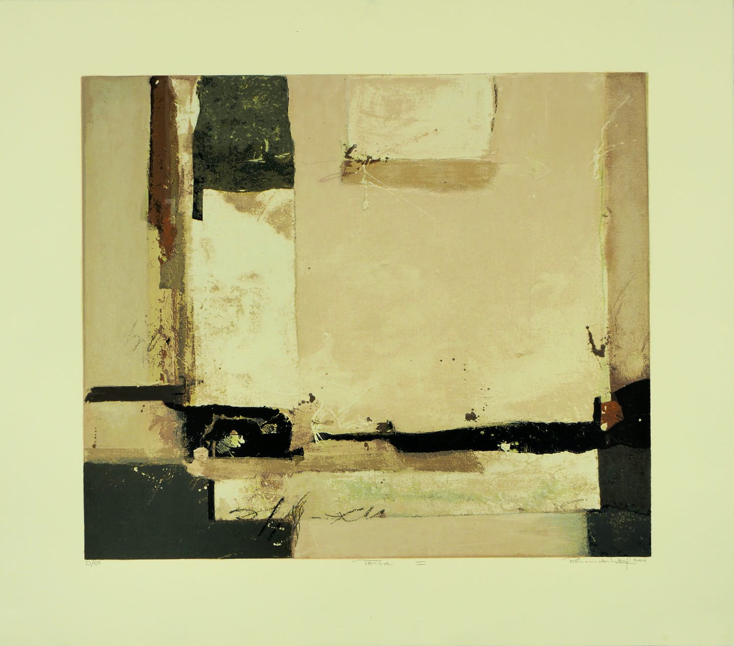 Ron van der Werf - Terra I verkocht voor € 50!