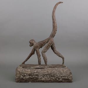 Barbara de Clercq - Slingeraap Brons kopen? Bied vanaf 725!