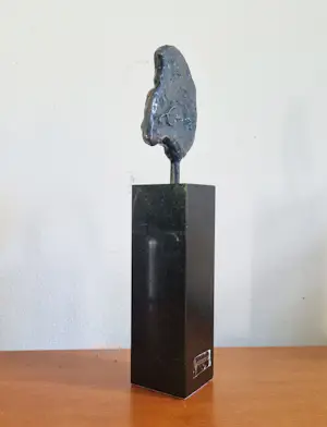Ruurd Hallema - Erasmus kopen? Bied vanaf 100!