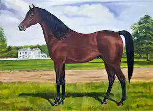Henri Busy - Paarden Portret vendu pour 70€ !