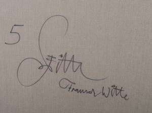 Franscz Witte - Gemengde techniek op doek, Verbindingen 5 (Groot) kopen? Bied vanaf 1!