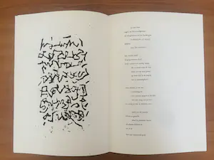 Frank Lodeizen - bundel van 9 afzonderlijke bladen. Gesigneerd en genummerd: 62/99 kopen? Bied vanaf 100!