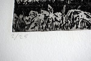 Jose Calsina - Het weiland kopen? Bied vanaf 50!