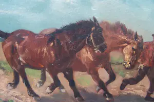 Henry Schouten - Boer met paarden kopen? Bied vanaf 350!