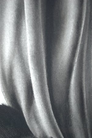 Niet of onleesbaar gesigneerd - Kat - originele inkttekening kopen? Bied vanaf 10!