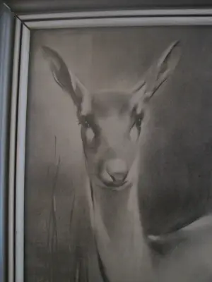 Han van Meegeren - Ree met kalf. kopen? Bied vanaf 30!