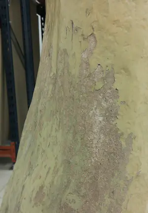 Jean-Philippe Richard - Terracotta Beeld, Irene (Groot en zwaar!) kopen? Bied vanaf 1!