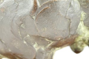 Brons (Onbekend) - Bronzen beeld: de bokkerijder kopen? Bied vanaf 575!