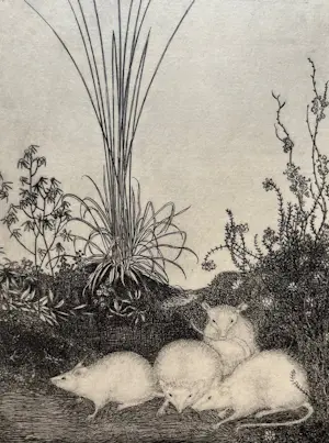 Jan Mankes - 4 muizen kopen? Bied vanaf 120!