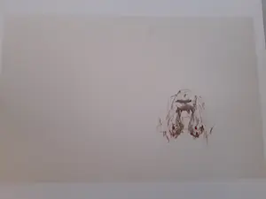 Melle Oldeboerrigter - Ter gelegenheid van Melle,s 60e verjaardag kopen? Bied vanaf 45!