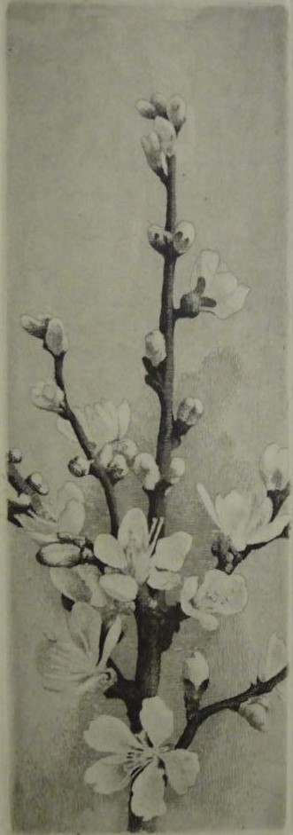 Maarten Langbroek - Amandelbloesem kopen? Bied vanaf 1!