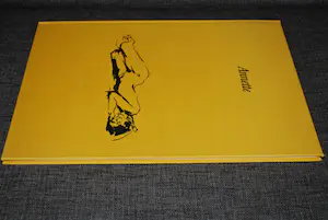 Bob ten Hoope - Annette, 15 aquarellen, boek oplage 69/150 - gesign. door ten Hoope en A.Morriën kopen? Bied vanaf 40!