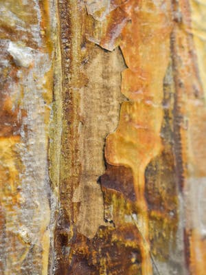 Jack Harden - Tombstone-blues kopen? Bied vanaf 50!