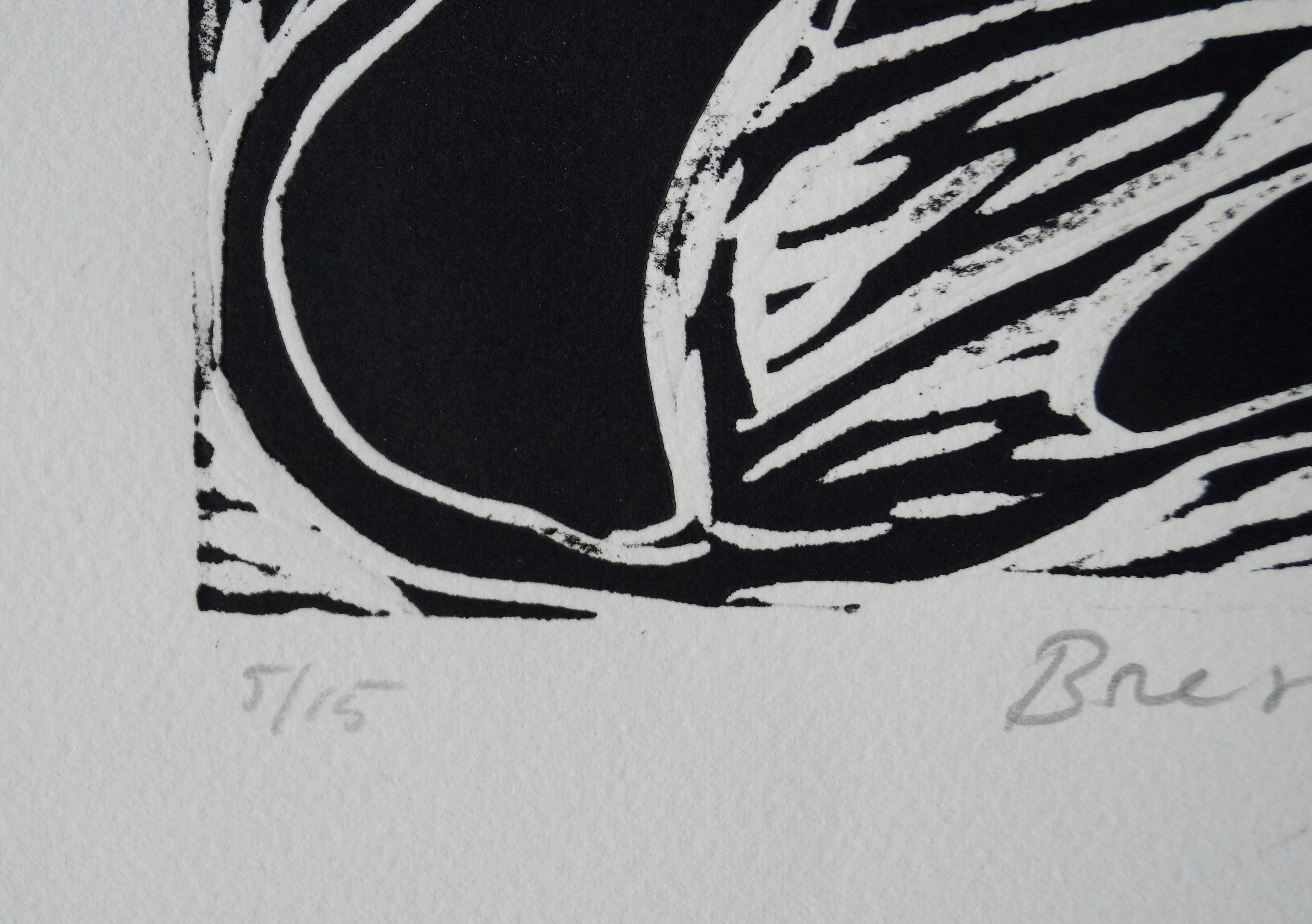 John Lie a Fo - Bresil kopen? Bied vanaf 20!