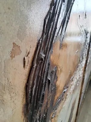 Jan Kind - GN051 kopen? Bied vanaf 450!