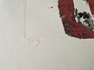 Cees Kortlang - Grote handgekleurde reliëf Ets/aquatint - potloodges. - zeer kleine oplage (9) kopen? Bied vanaf 59!