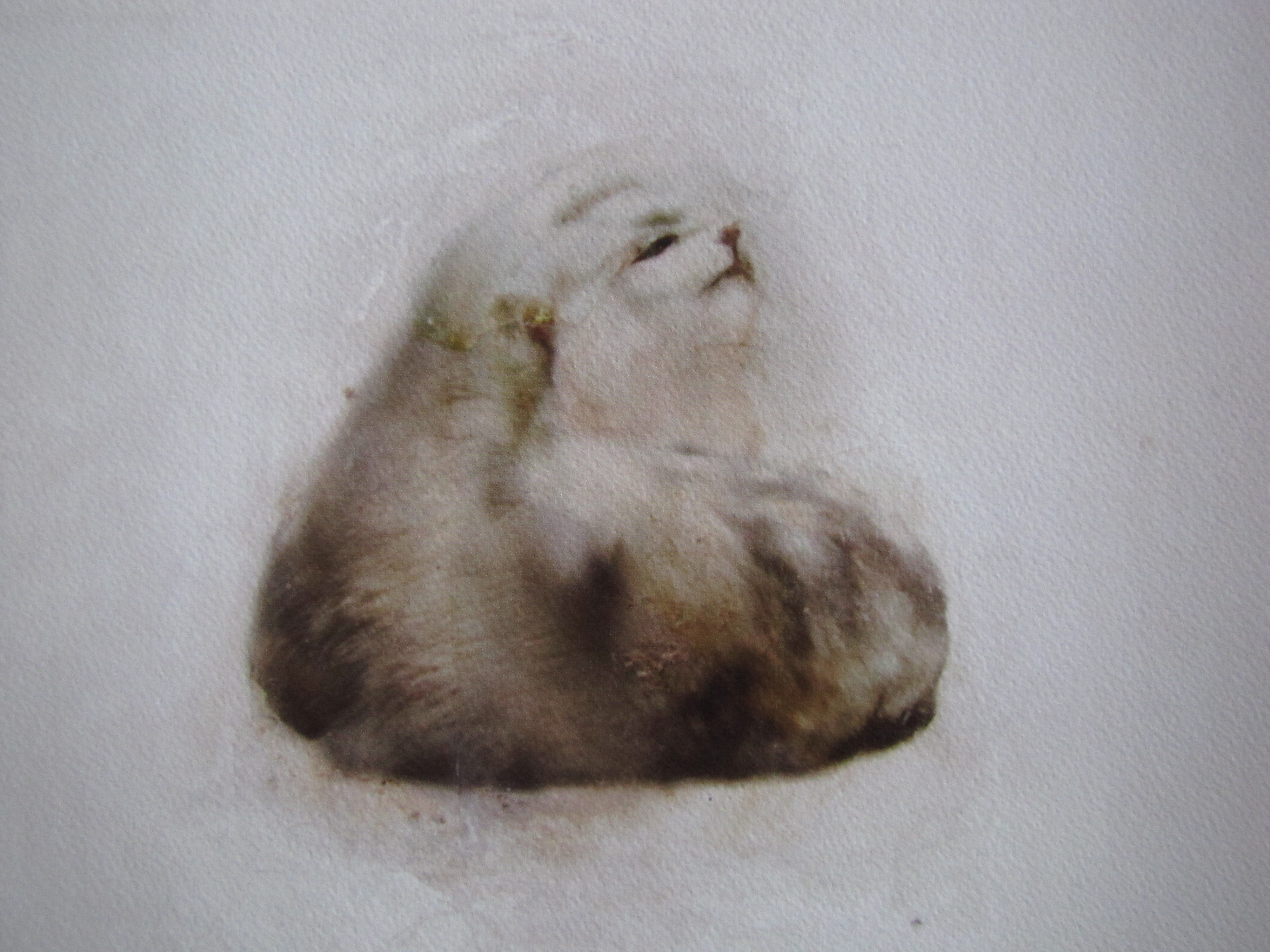 Chris Berens - Bleach verkocht voor € 150!